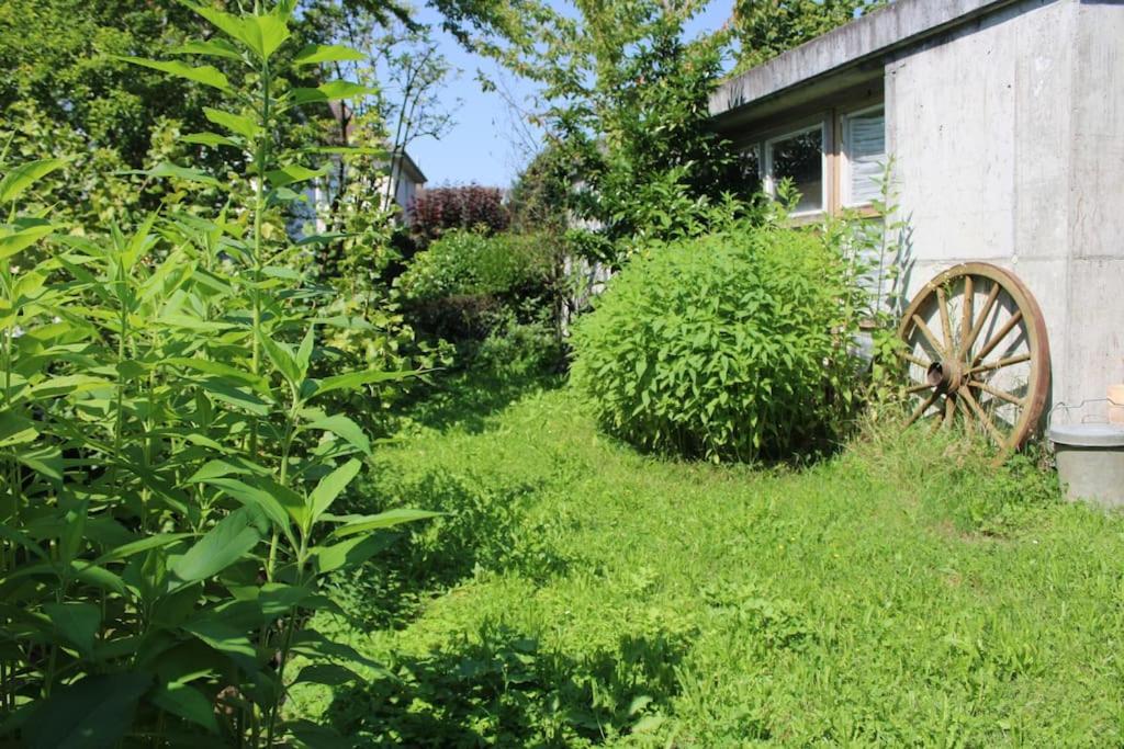 Erholung Mit Seesicht, Terrasse Und Garten Uberlingen Extérieur photo